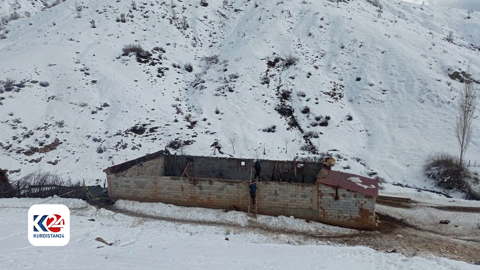 Bitlis Çıkan yangında yüzlerce küçükbaş hayvan telef oldu