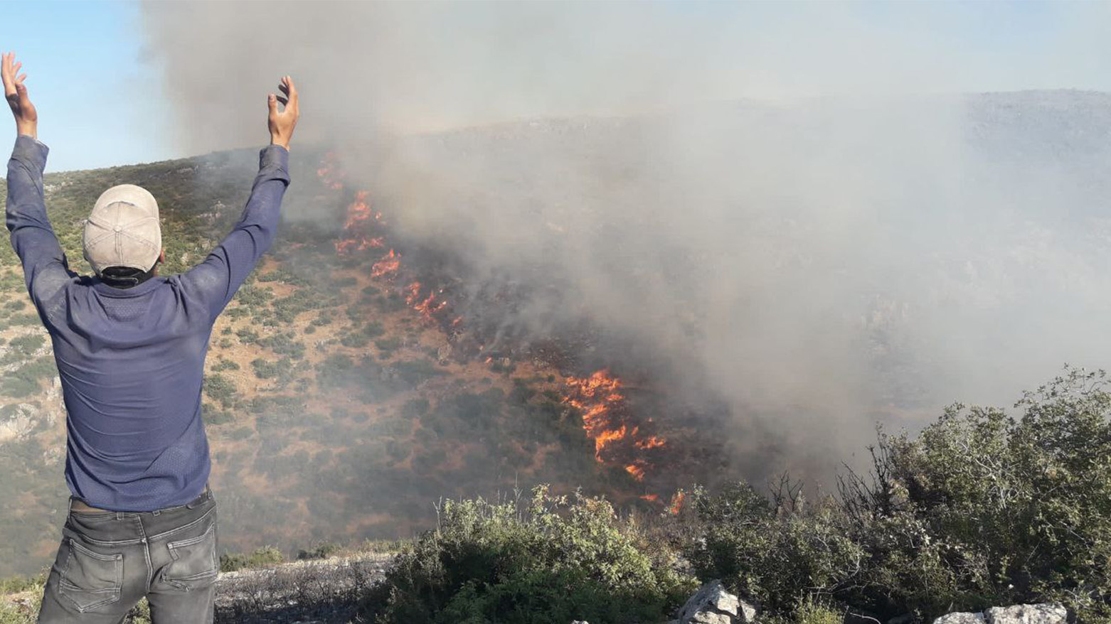 3 partiyên Kurdî şewitandina daran û binpêkirinên mafên mirovan li Efrînê şermezar dikin