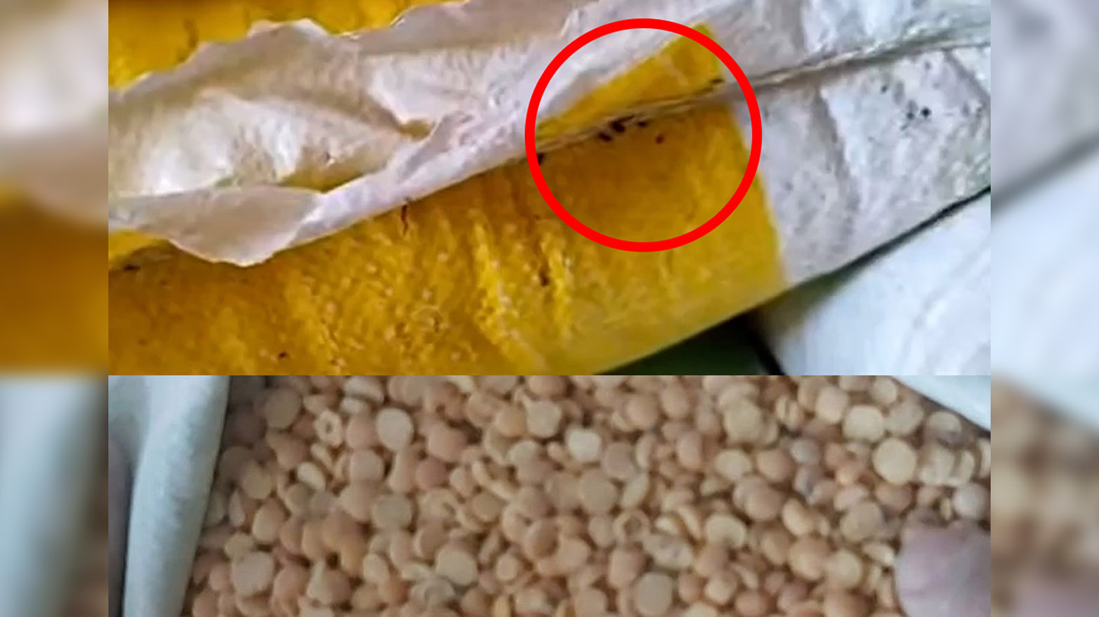 وەزارەتی بازرگانیی عێراق جۆرێک لەتکەنۆکی بۆ سلێمانی ناردووە مێشوولە لێی داوە