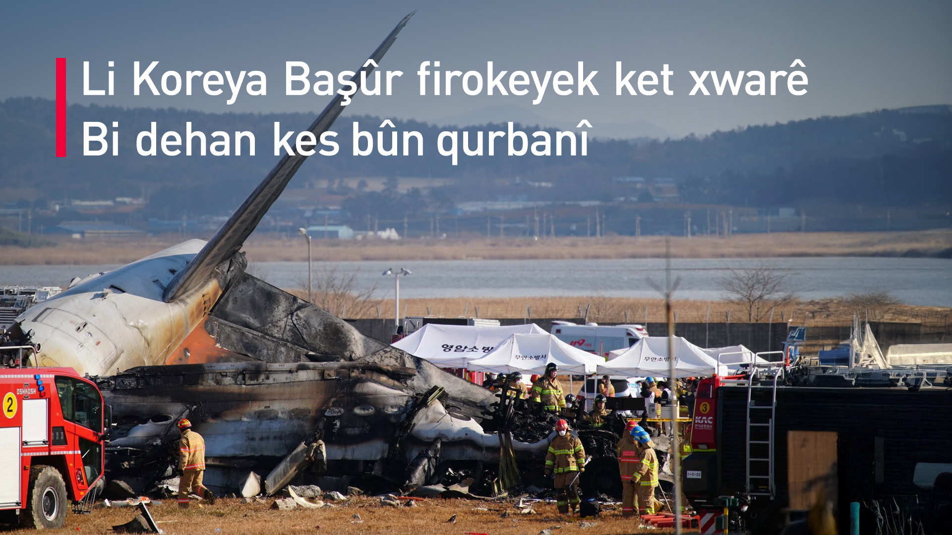 Li Koreya Başûr firokeyek bi 181 rêwiyan ket xwarê