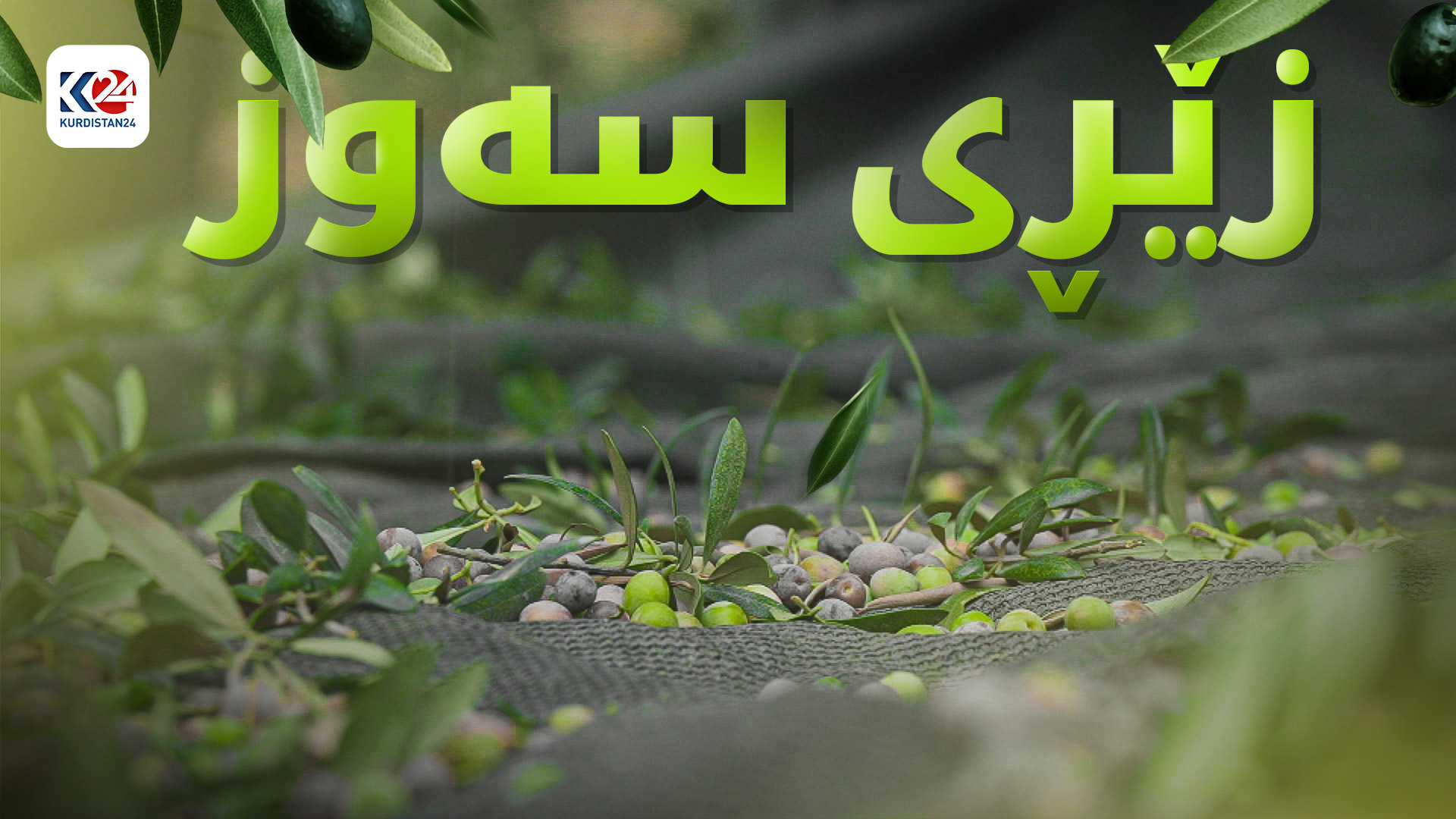 زێڕی سەوز