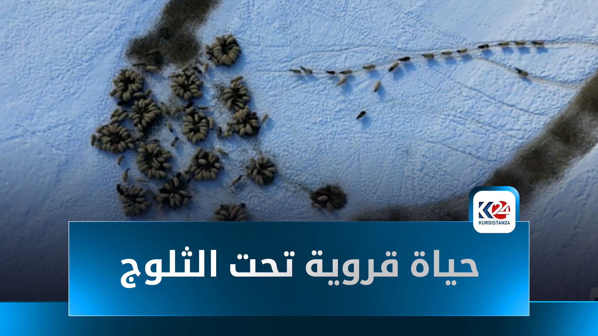 حياة قروية تحت الثلوج.. بين قسوة الشتاء وصمود الأهالي في گەوەرێ