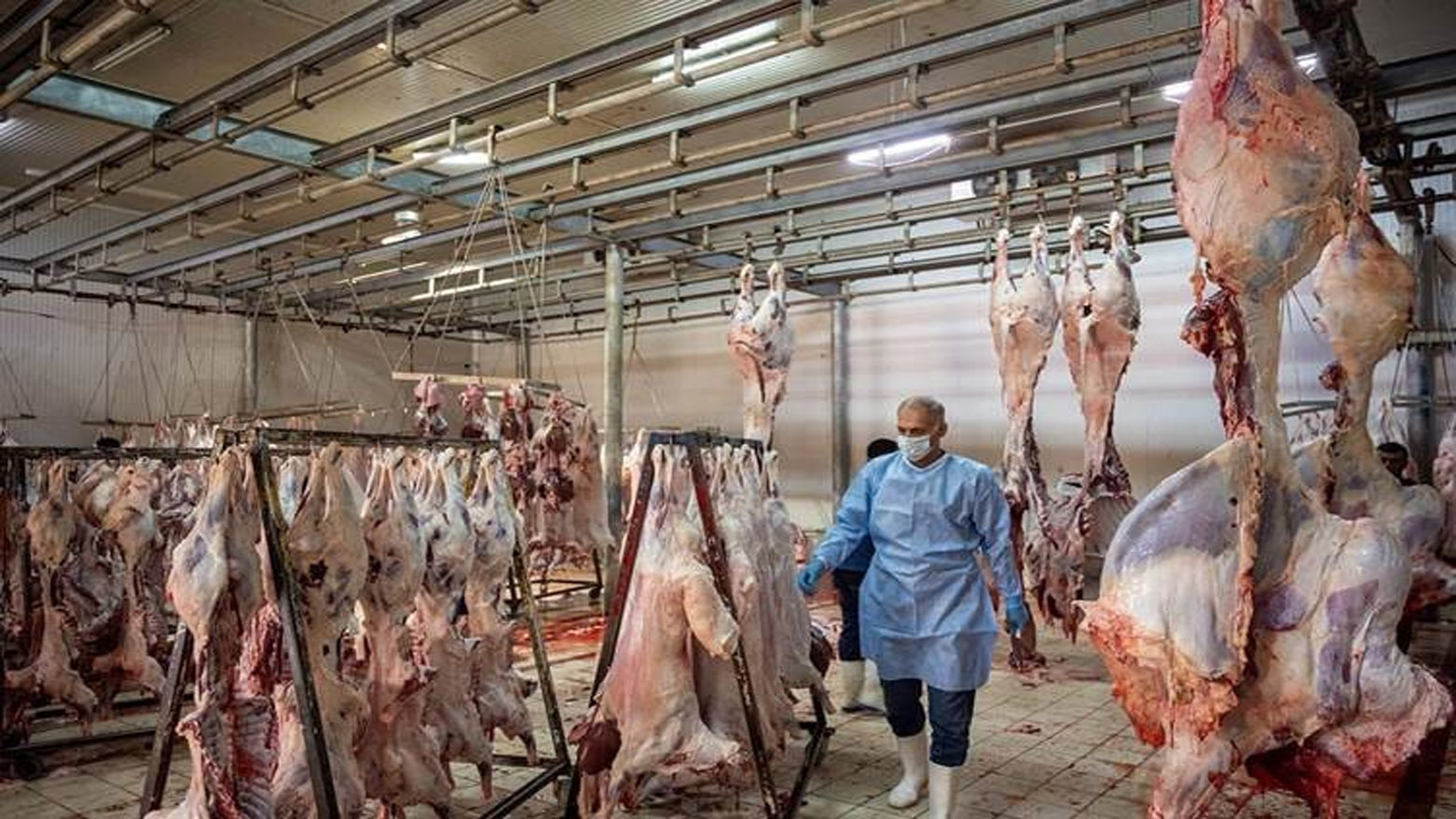 سەربڕخانەیەکی مۆدیرن لە ڕاپەڕین دروست دەکرێت