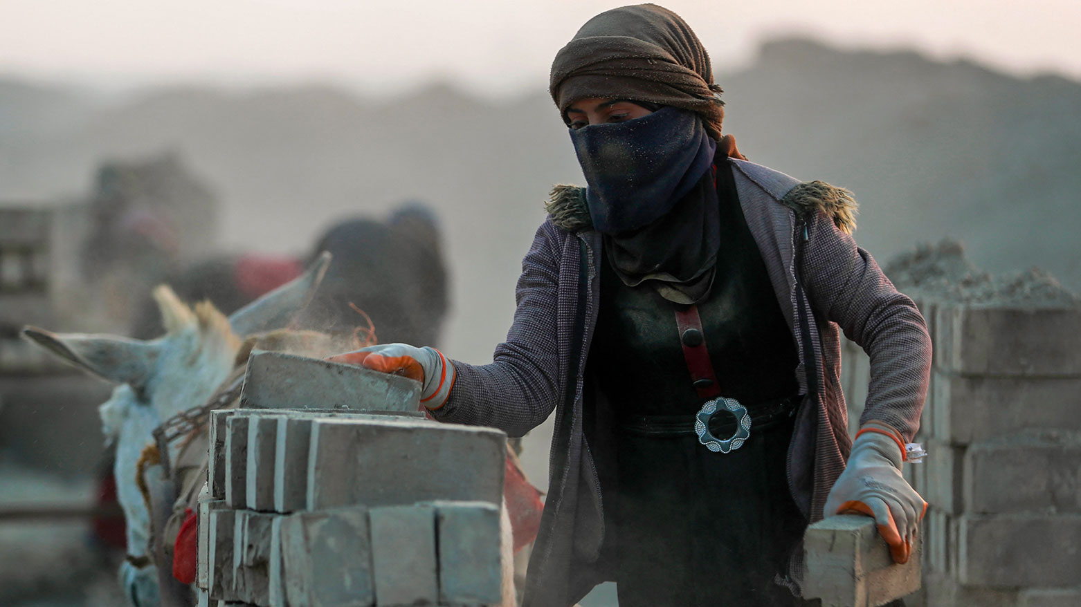 Rukaya Ghali, a female labourer loads clay bricks onto a donkey-pulled cart, at a factory in al-Kifl district on the outskirts of Hilla in central Iraq, on Feb. 10, 2025. (Photo: AFP)