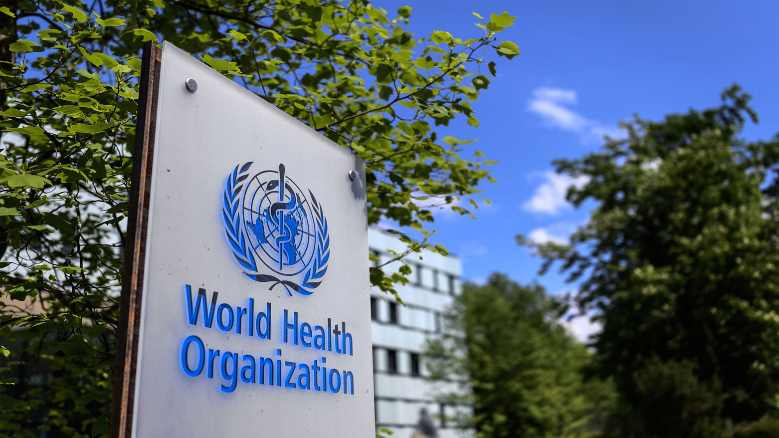 نحو 76 ألف طفل دون الخامسة يموتون سنوياً في أوروبا