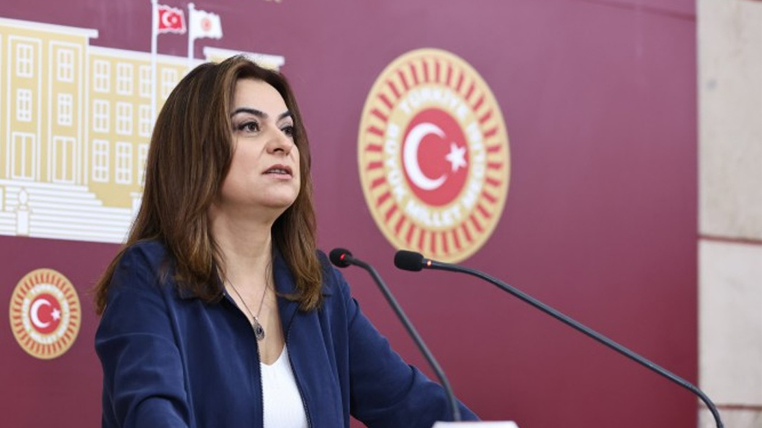 Gulistan Kilic, Deputy Chair of the Peoples' Equality and Democracy Party (DEM Party). (Photo: the Turkish Parliament social pages)
