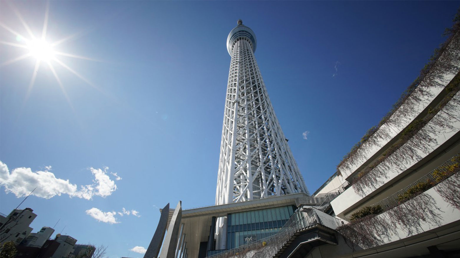 طوكيو سكايتري: أطول مبنى في اليابان والثاني عالمياً بعد برج خليفة