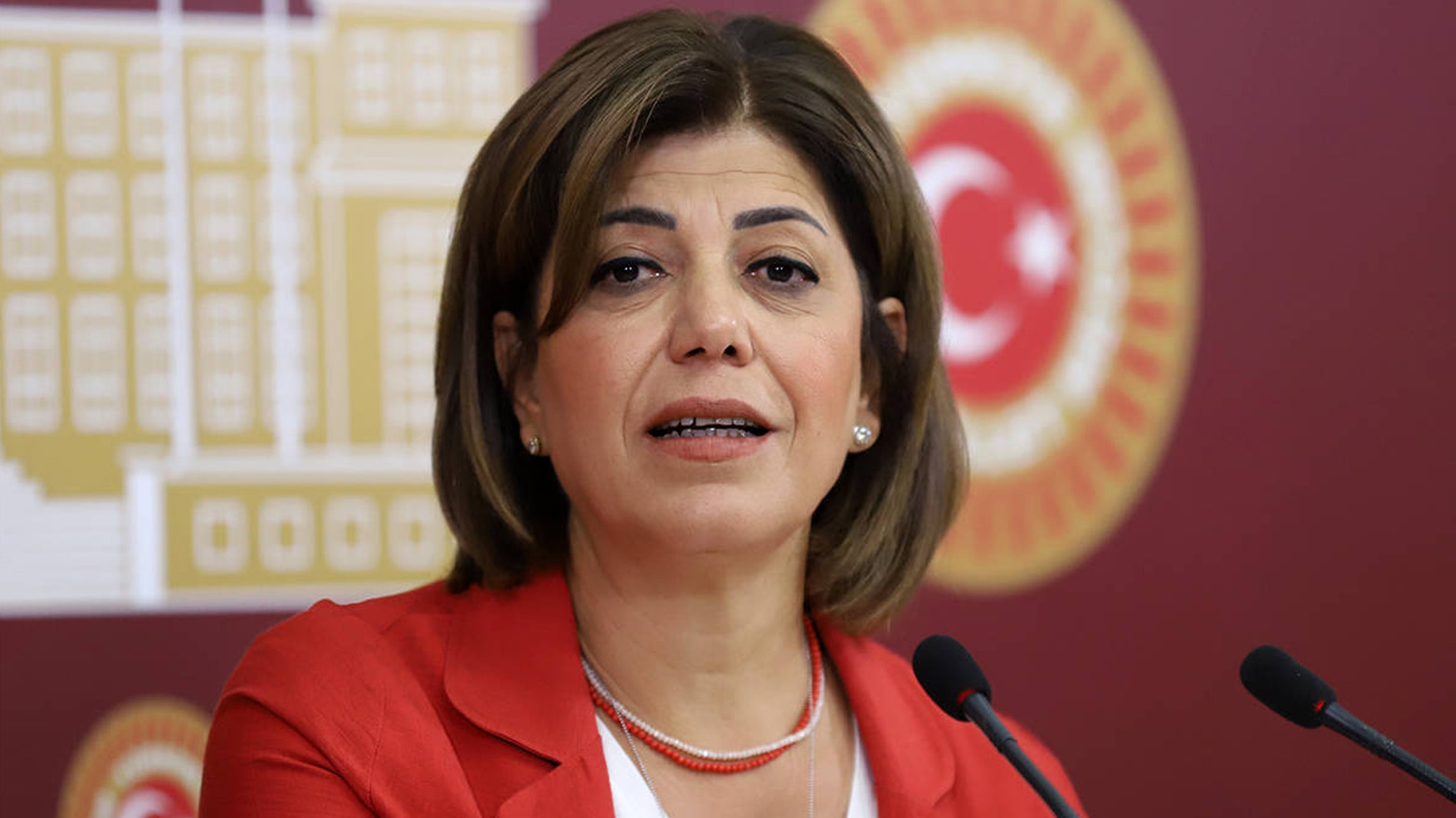 Meral Danış Beştaş: Çağrıda YPG ya da SDG'ye yönelik bir ima yok