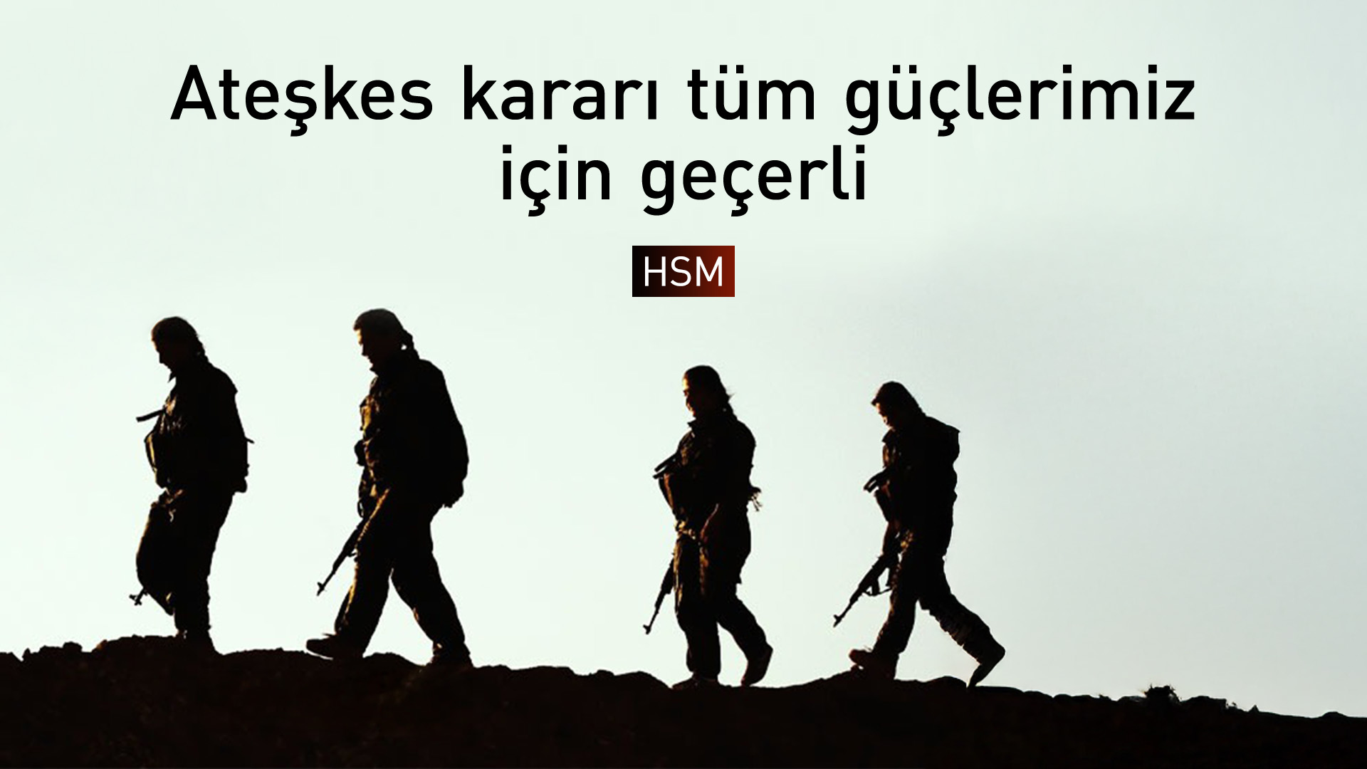 HSM logosu