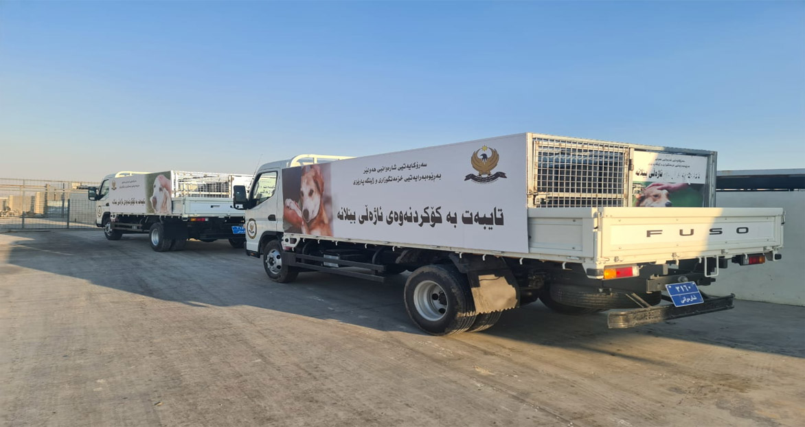 دوو ئۆتومبیلی سفر کیلۆمەتر بۆ کۆکردنەوەی سەگە بێلانەکان دابینکرا