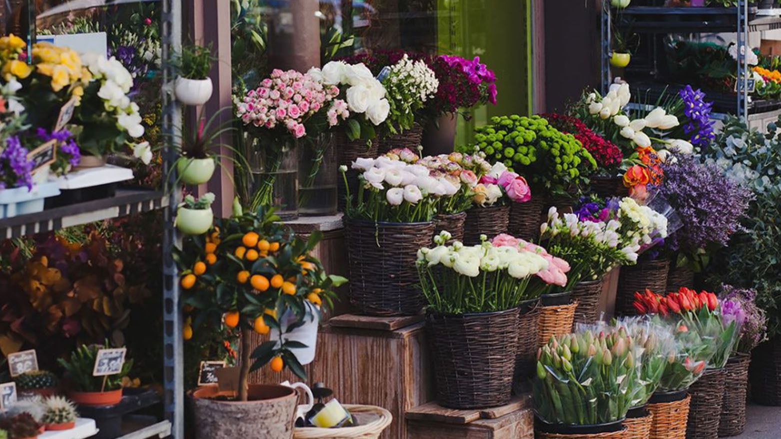 انتشار ثقافة شراء الزهور في العراق رغم التحديات الاقتصادية