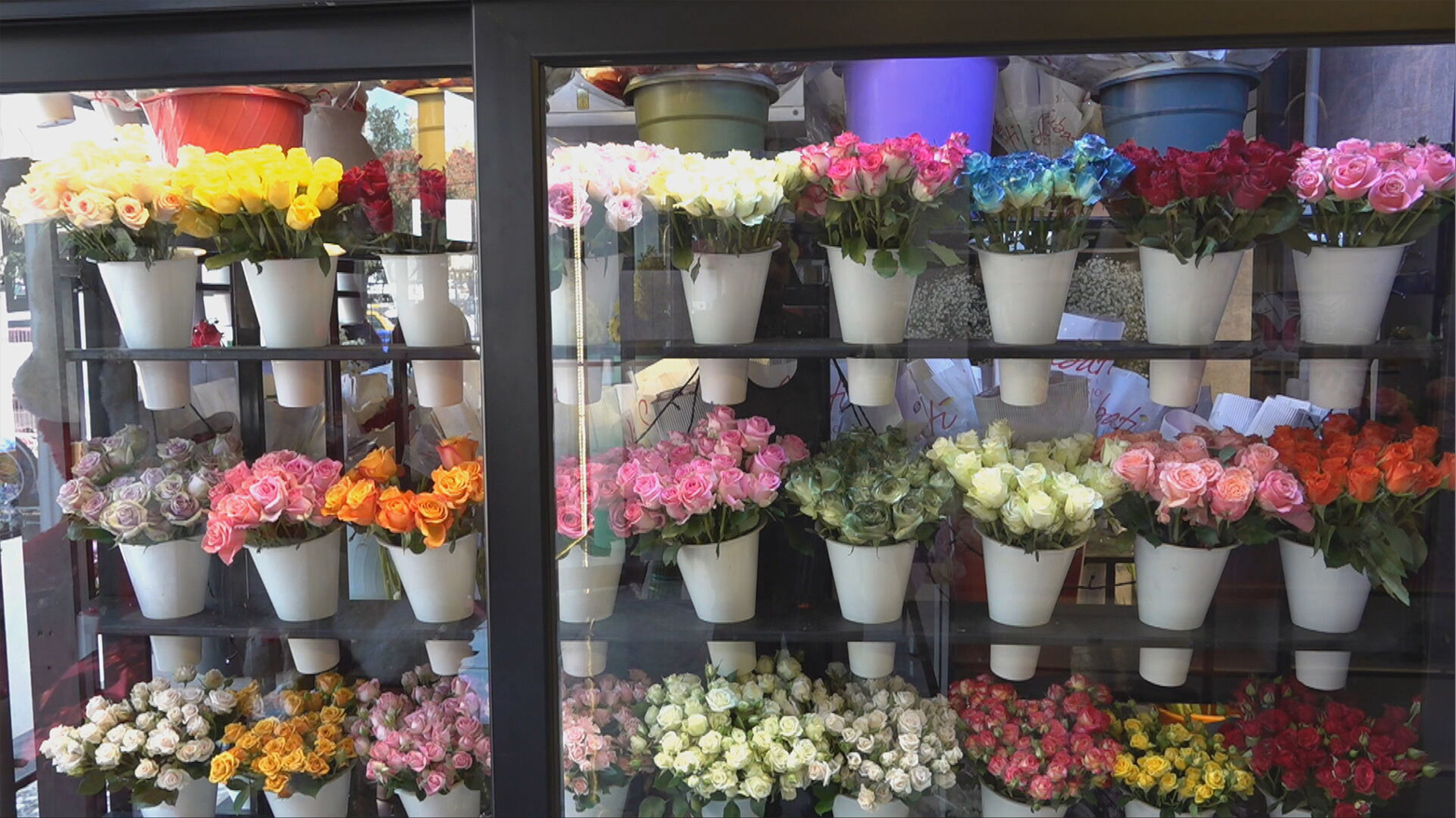 عێراق ساڵانە بە بەهای ملیۆنان دۆلار گوڵ هاوردە دەکات