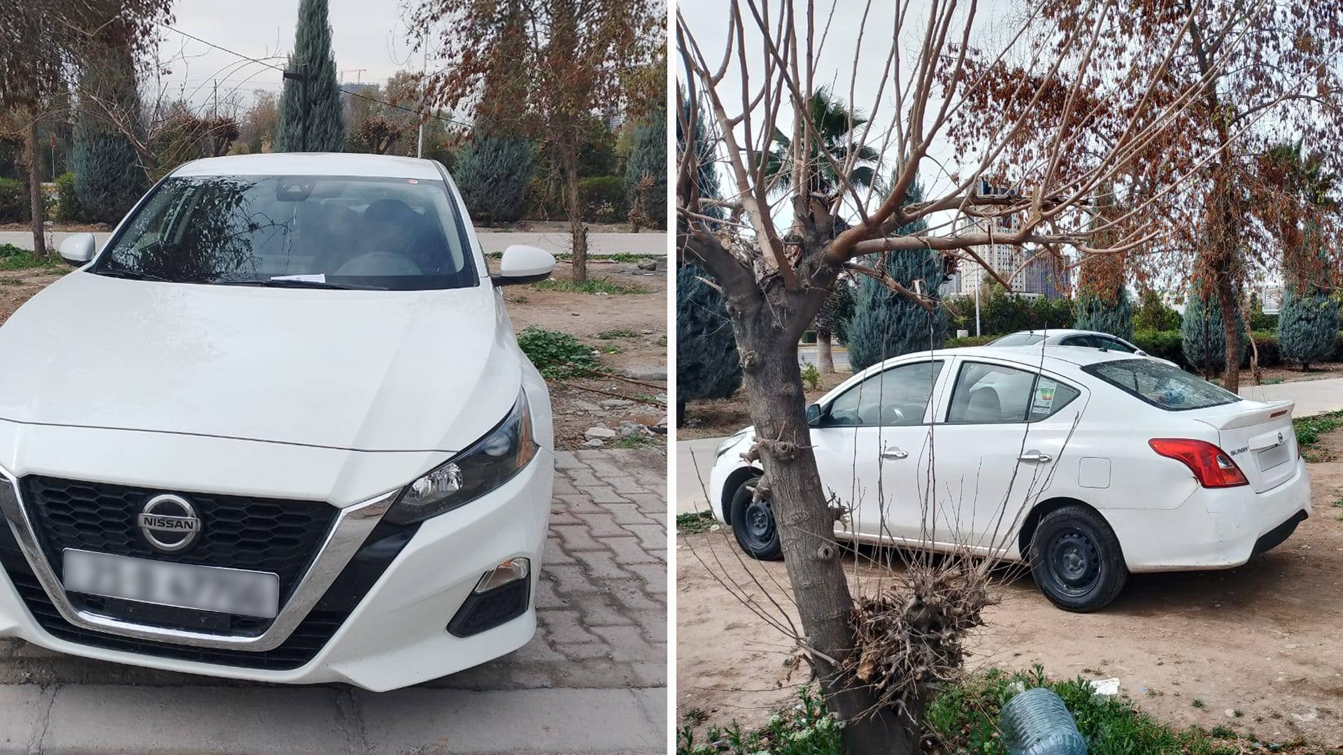 وێنەی ئەو ئوتۆمبێلانەی لەنێو پارک و باخچەکان ڕادەگرن