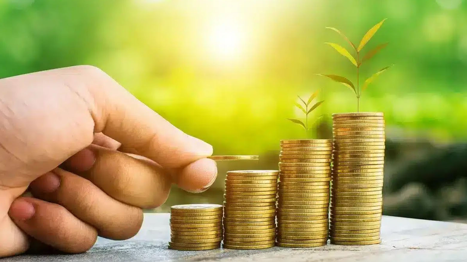 صدقة زكاة الفطر.. أحكامها وجواز دفع النقود بها