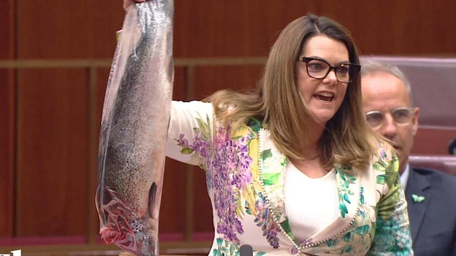 Senatör Sarah Hanson-Young