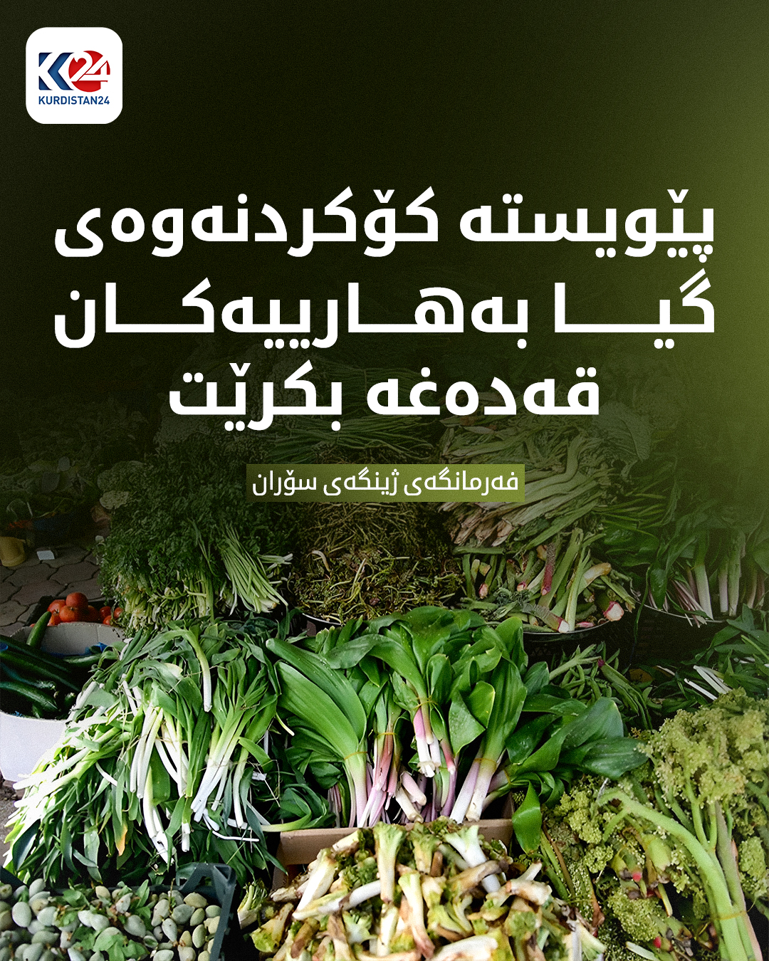 Kurdistan 24 - Twitter/X Social Post Banner
