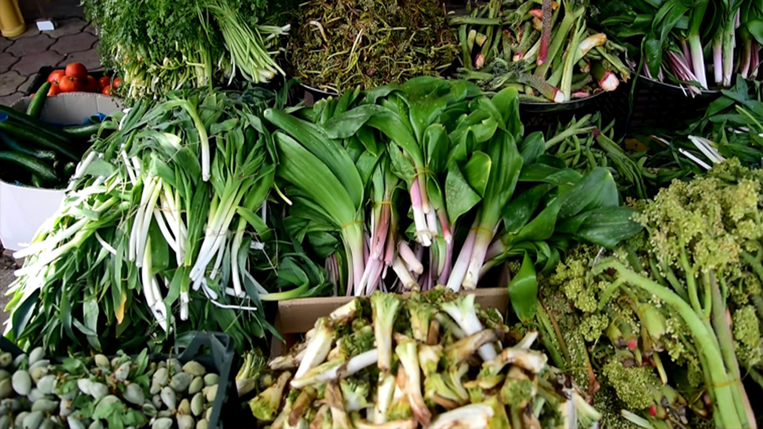 A variety of wild herbs in the Kurdistan Region. (Photo: Kurdistan24)