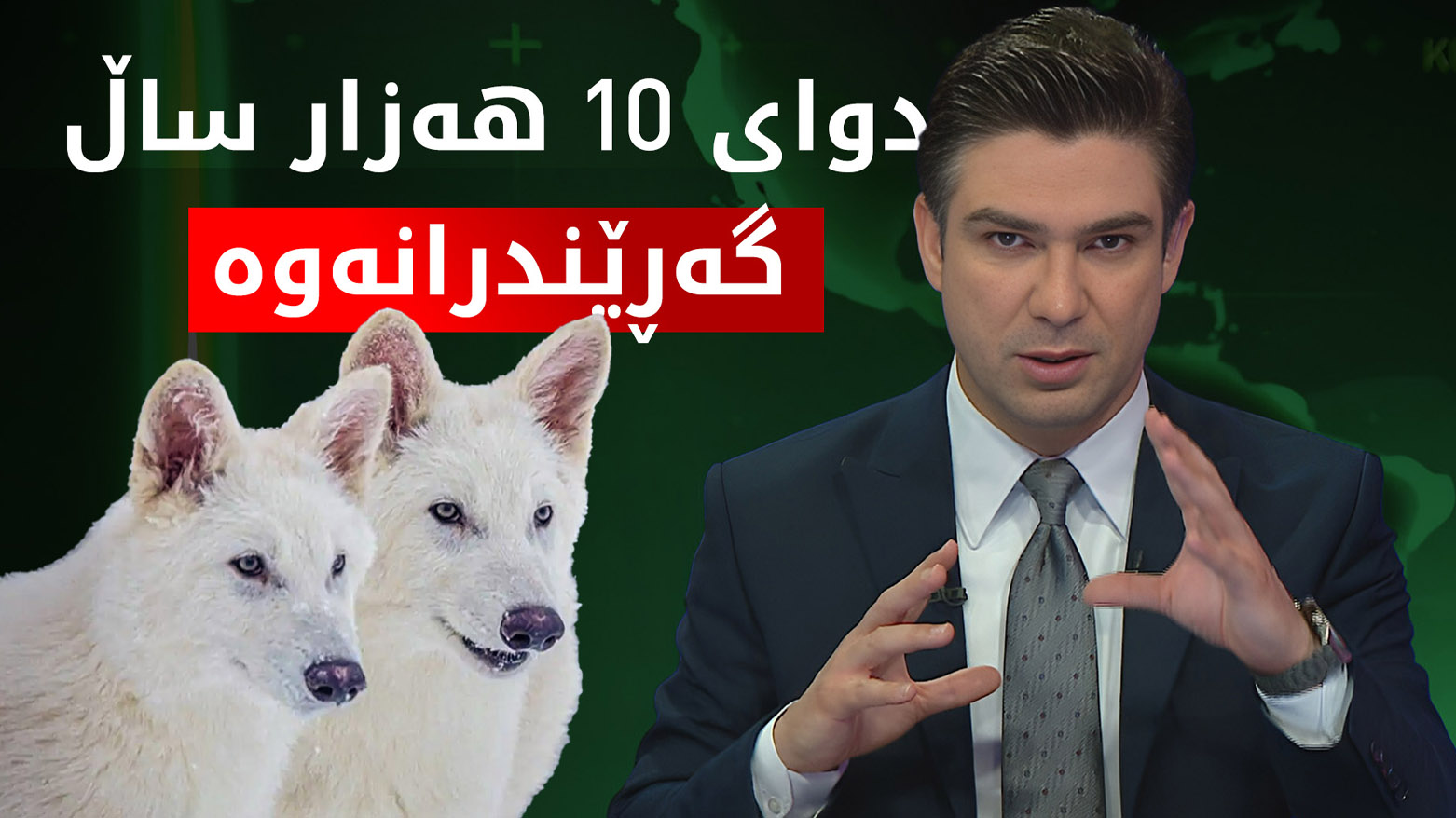 گورگه‌ سامناكه‌كان دوای 10 هه‌زار ساڵ گه‌ڕێنرانه‌وه‌