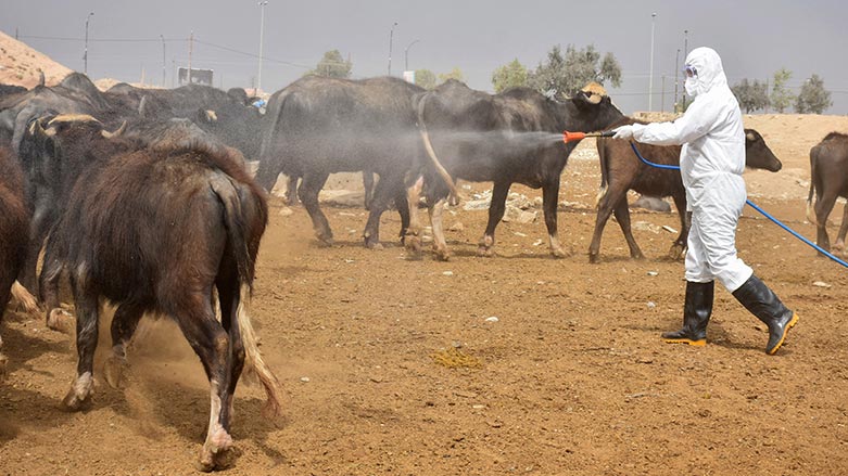 هاوڵاتییەک لەکەرکووک بە تای خوێنبەربوون گیانی سپارد