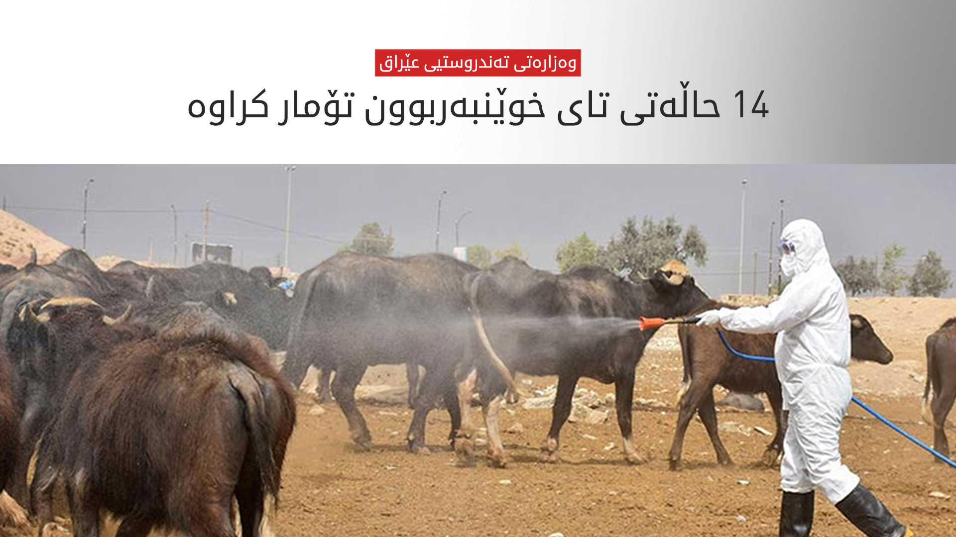 KRG PM Hawler