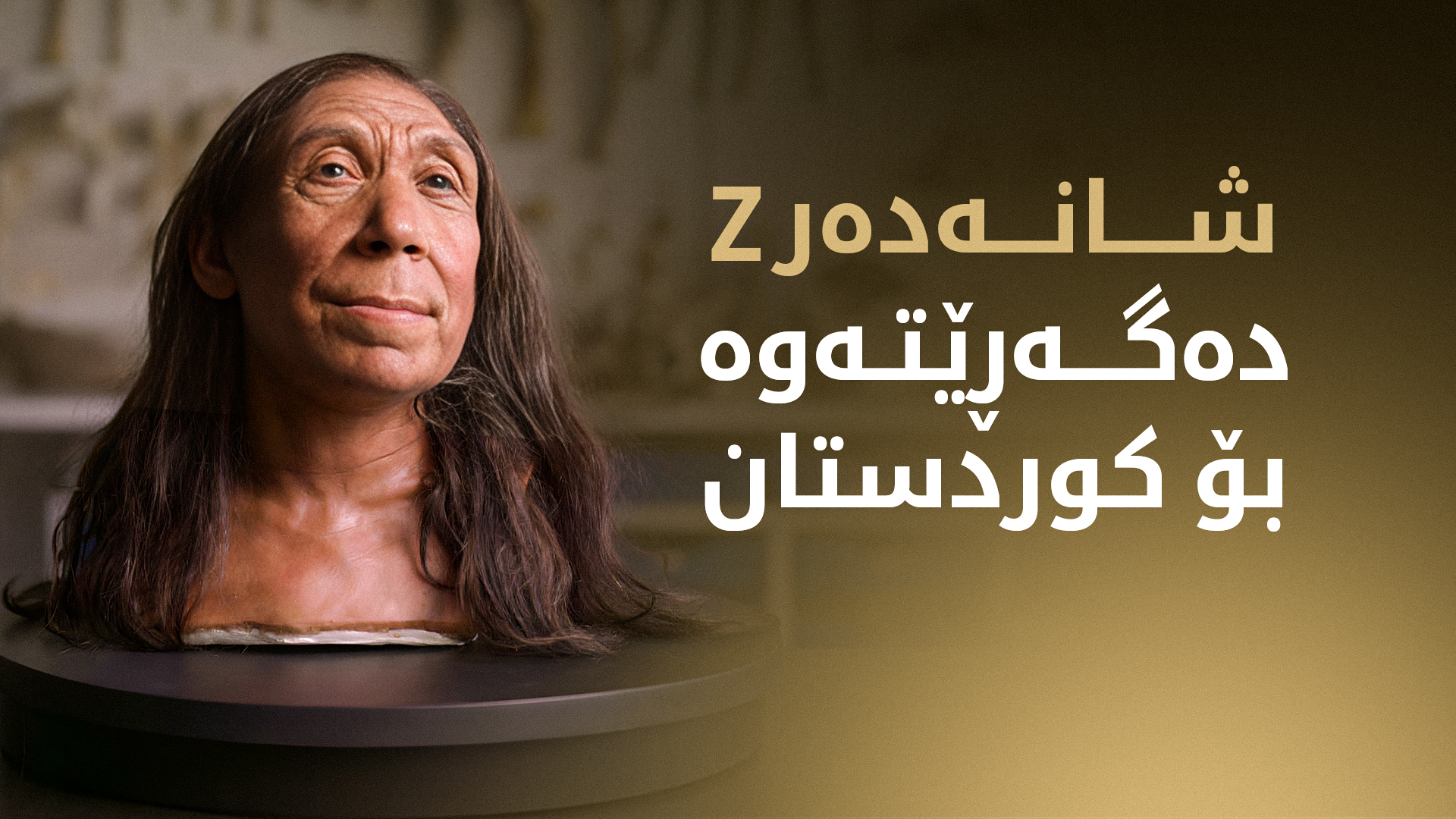 شانەدەر Z، دەگەڕێتەوە بۆ کوردستان