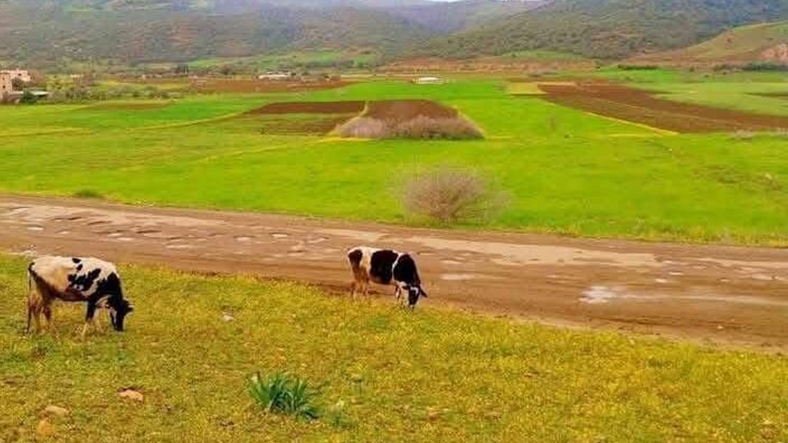 KRG PM Hawler
