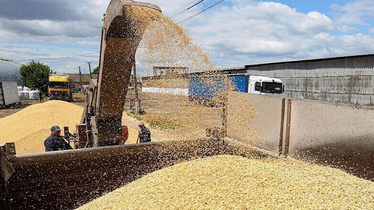 عێراق 220 هەزار تۆن گەنمی بە دیاریی بۆ سووریا نارد