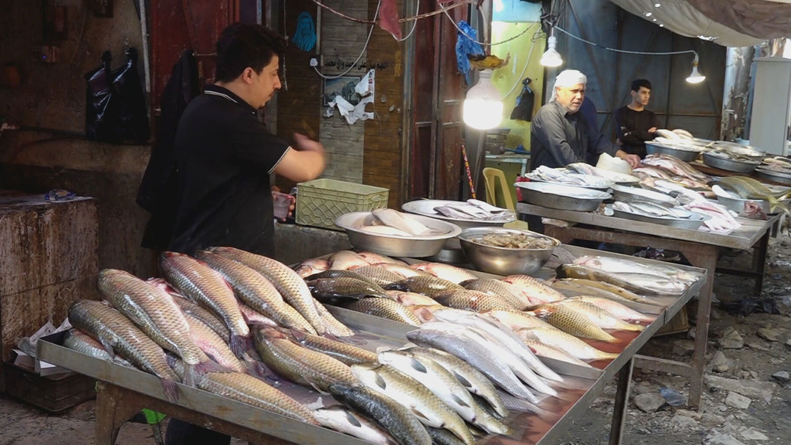 بەسرە.. نرخی جووتێک ماسیی سەبوور  هێندەی نرخی مەڕێکە