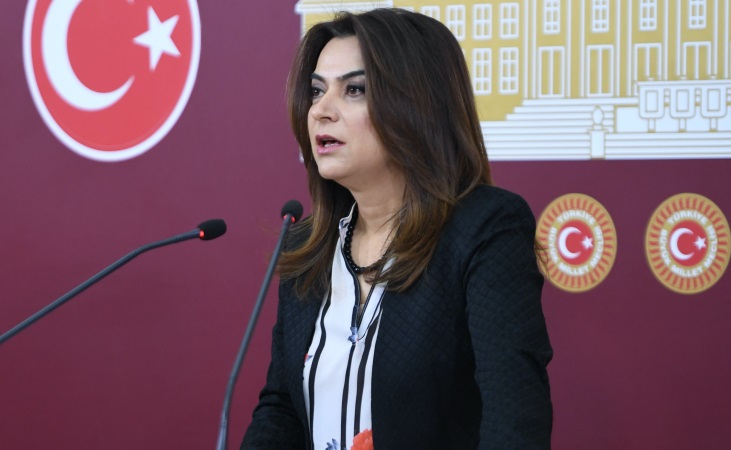 DEM Parti Grup Başkanvekili Gülistan Kılıç Koçyiğit