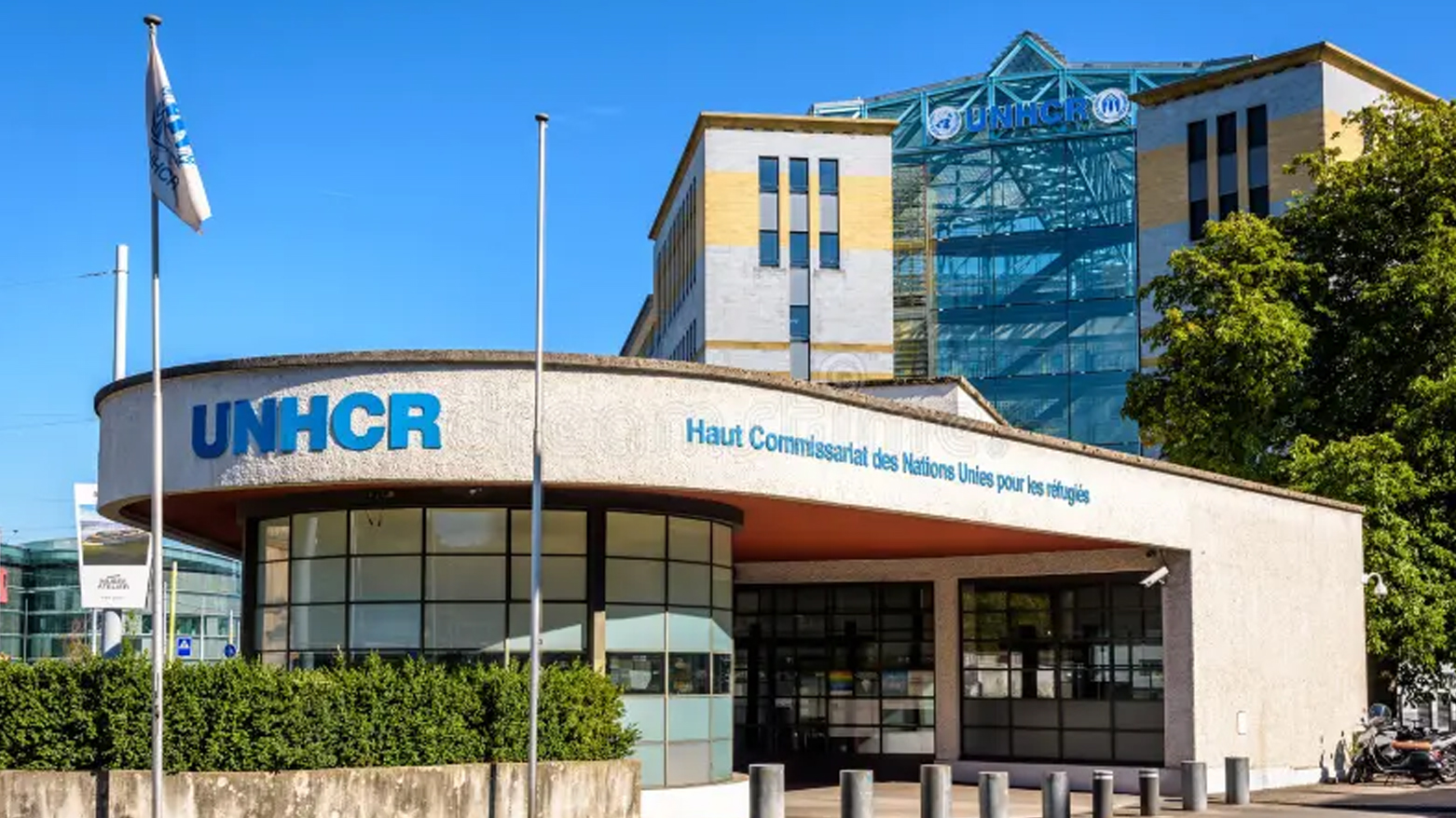 برنامج الأغذية ومفوضية اللاجئين يخفضان نشاطهما لنقص التمويل