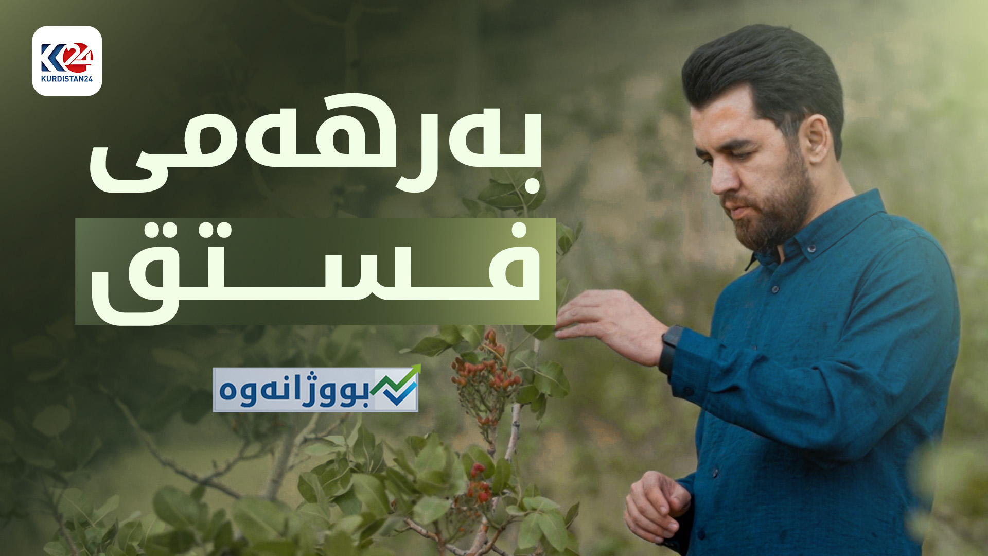 بەرهەمی فستق