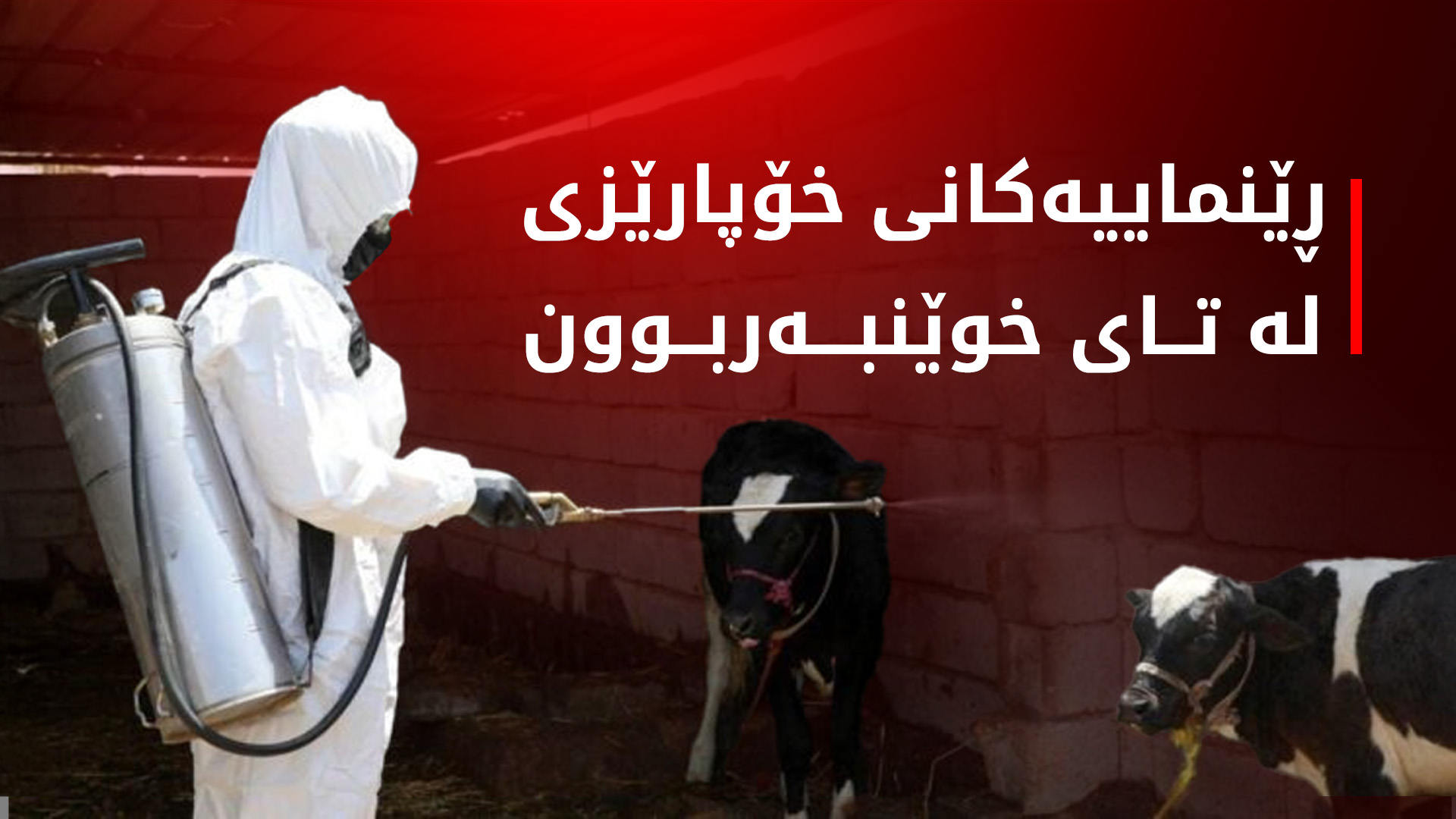وەزارەتی تەندروستی ژمارەیەک ڕێنمایی بۆ خۆپاراستن لە تای خوێنبەربوون دەردەکات