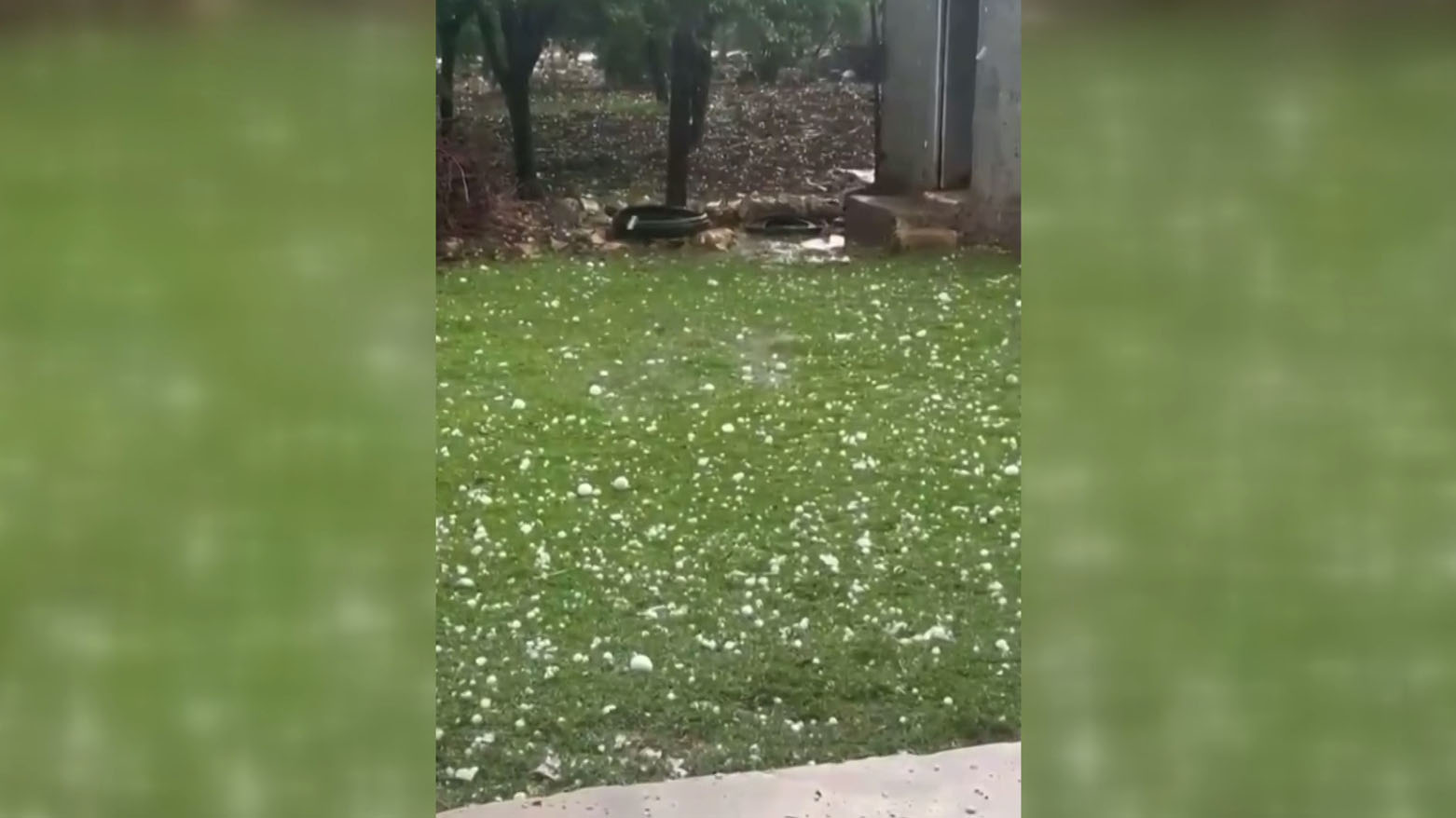 Li Ruhayê zîpikan ziyan gihand bax û zeviyên fisteq, zeytîn û pembûyan