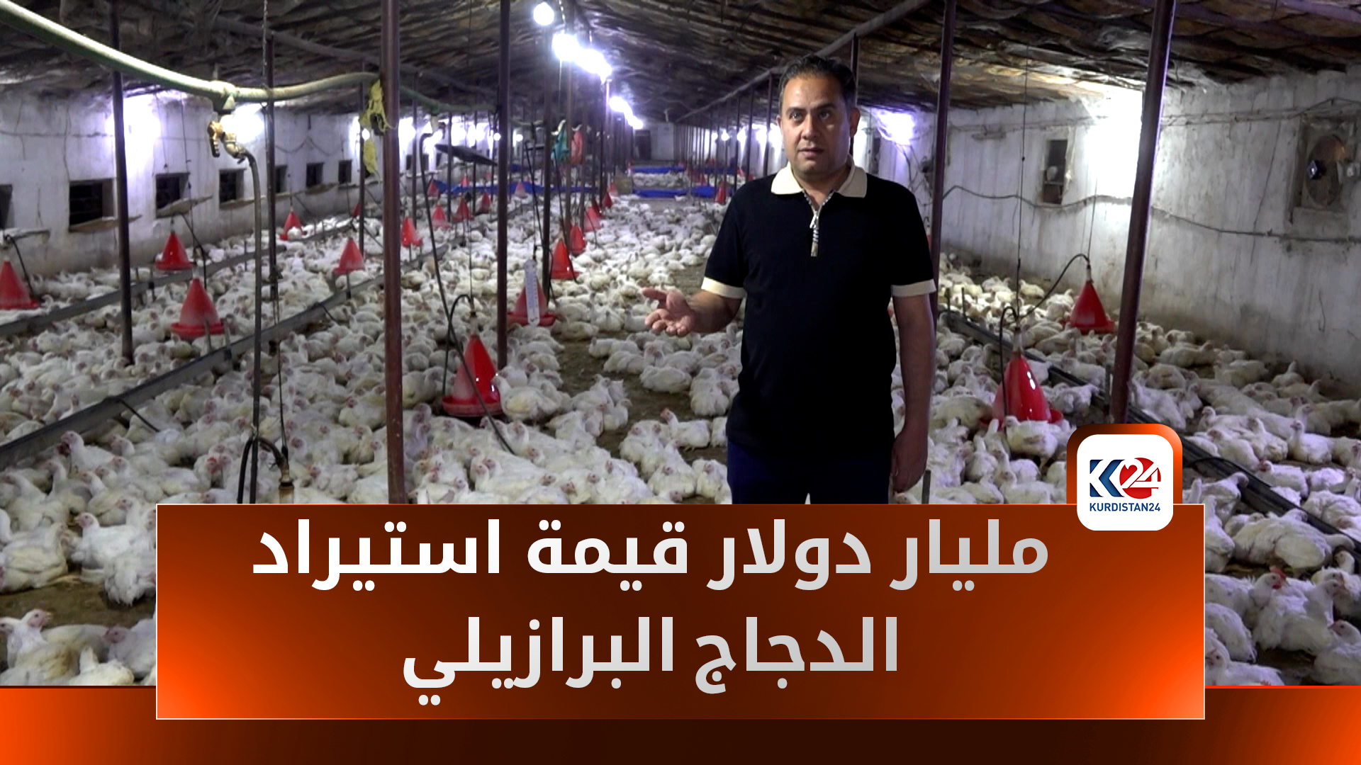 تجربة كوردستان الناجحة في تربية الدواجن لا تجد طريقها إلى بغداد