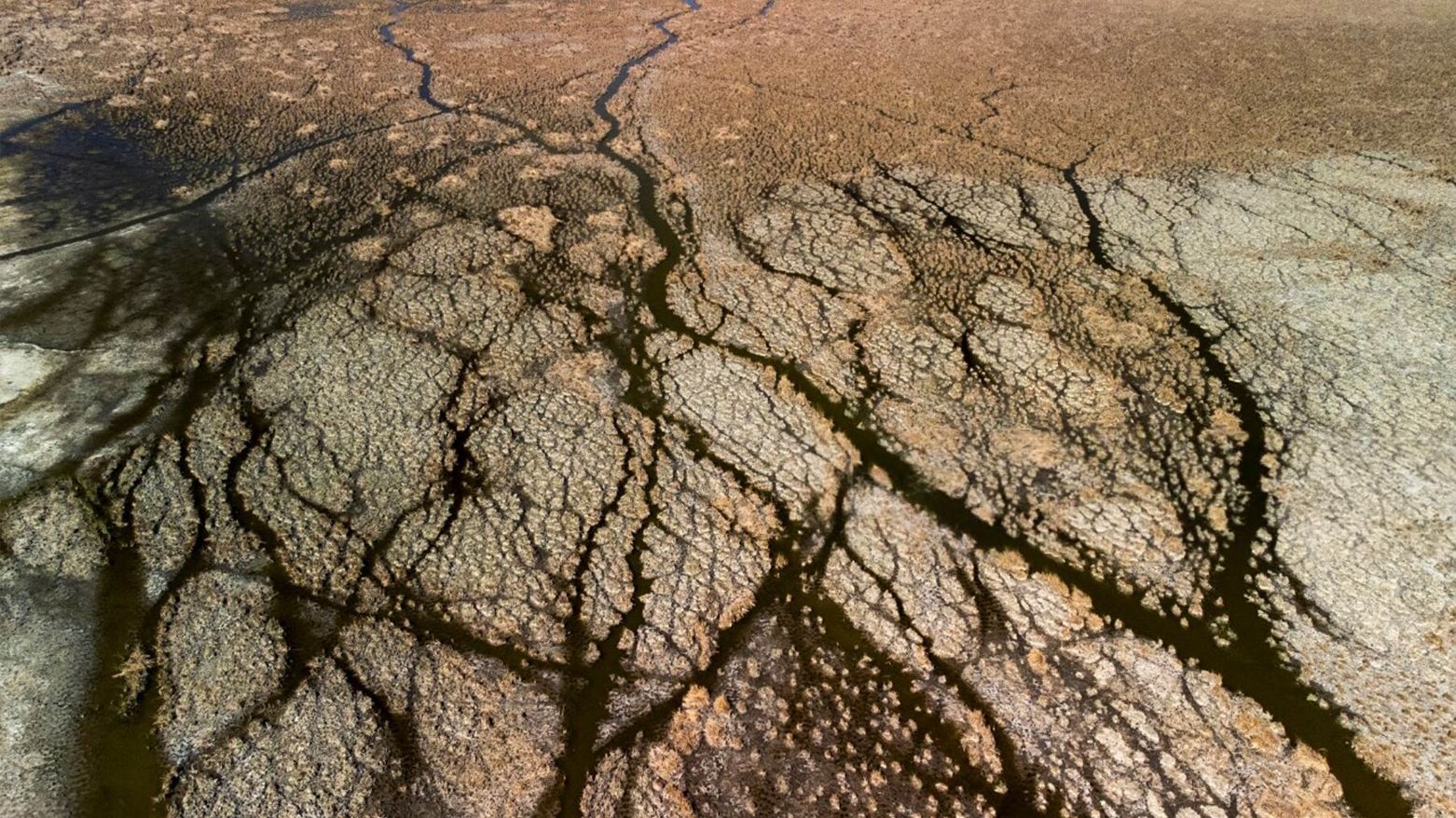 A June 23, 2023 aerial photo shows the dried-up marshes of Chibayish in Iraq’s Dhi Qar province. (Photo: AFP)