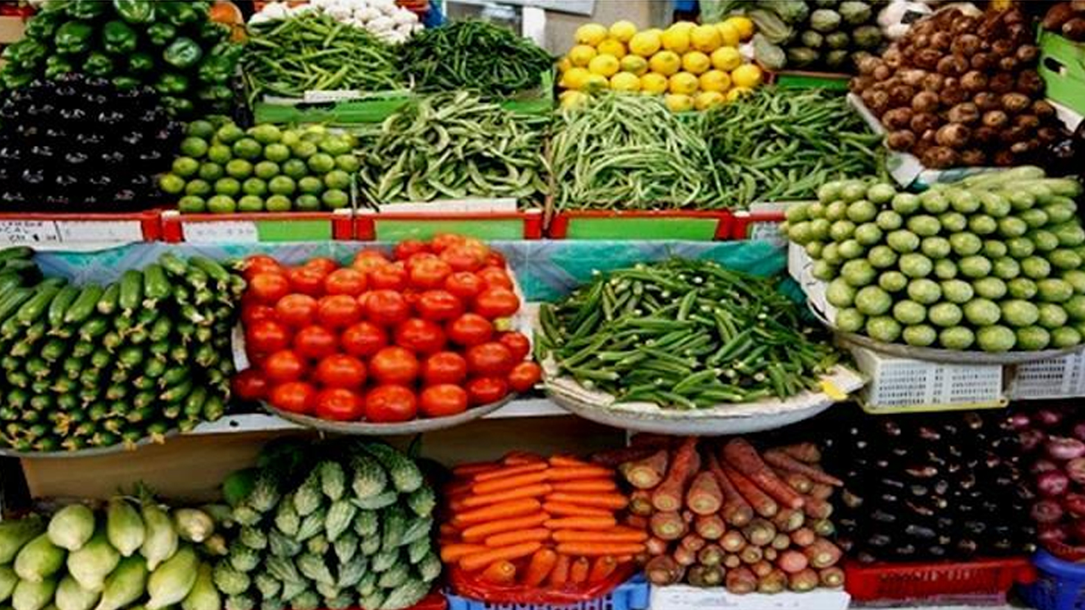 کشتوکاڵی هەولێر: بەرهەمی ناوخۆ گەیشتووەتە عەلوەکان