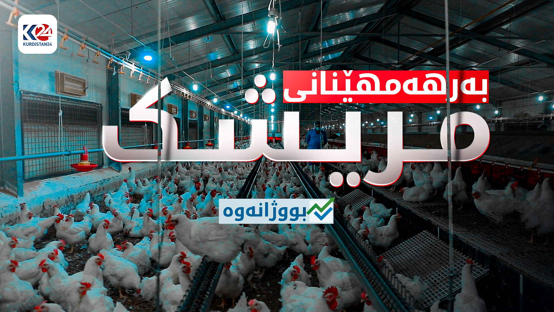 بەرهەمهێنانی مریشک