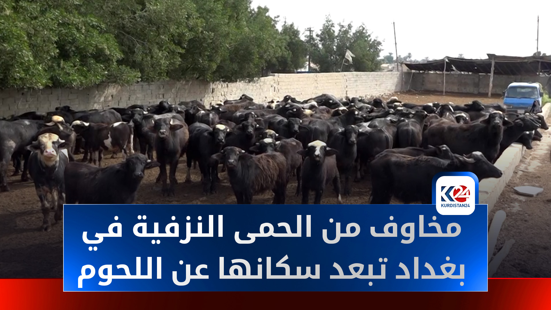 مخاوف من الحمى النزفية تدفع سكان بغداد للابتعاد عن اللحوم الحمراء