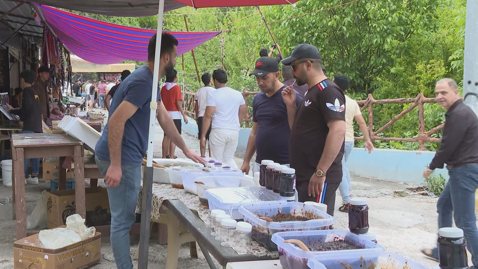 هاتنی گەشتیاران هەلی کاری بۆ گەنجانی ئاکرێ ڕەخساندووە