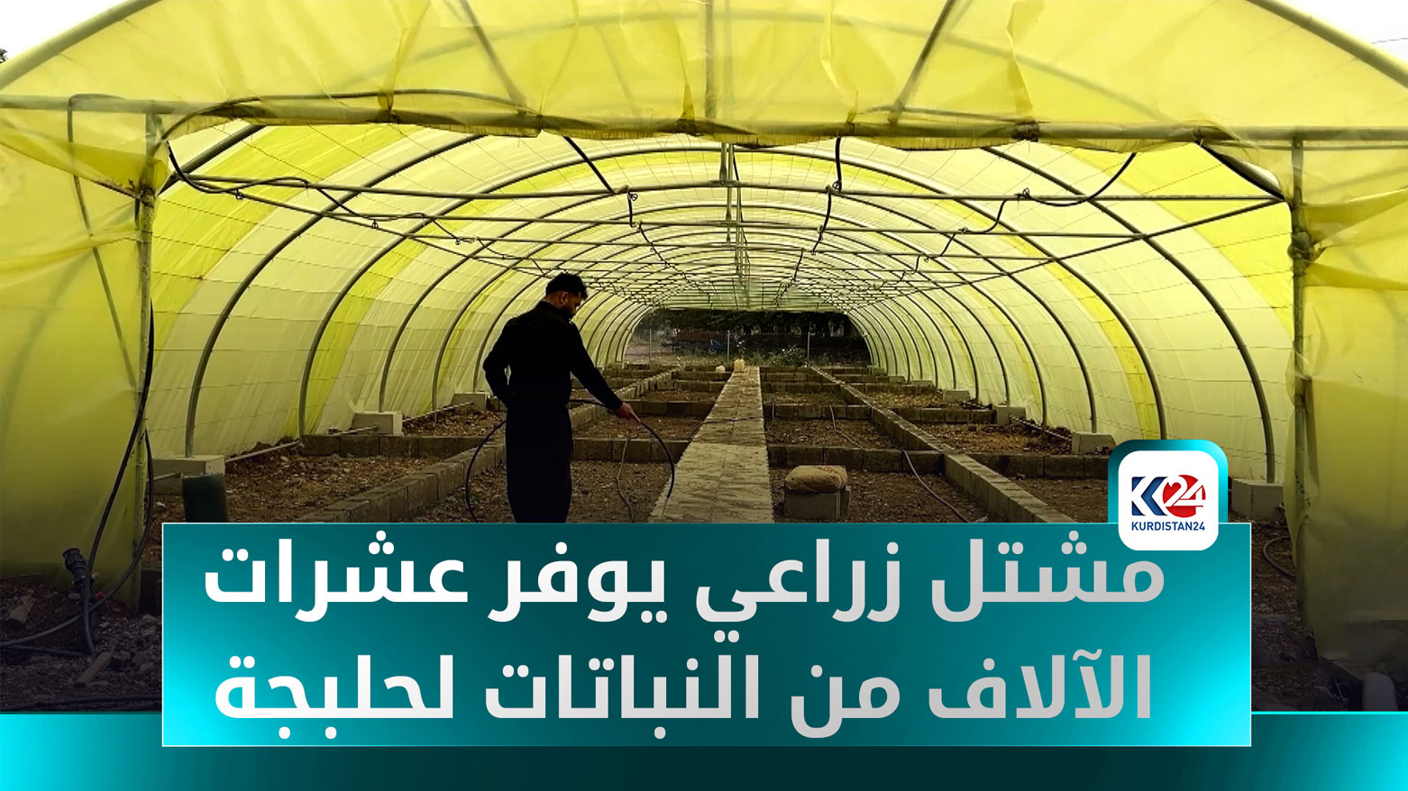 مشتل خورمال: خطوة خضراء نحو تخضير محافظة حلبجة