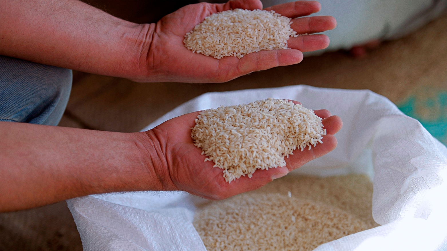 A person holds two different types of rice in his palm. (Photo: AP)