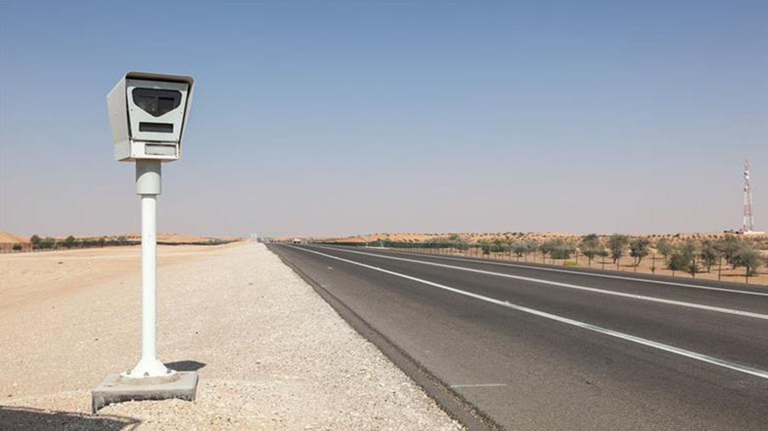 مرور سويسرا يرصد مخالفة سرعة بحق طائر بط