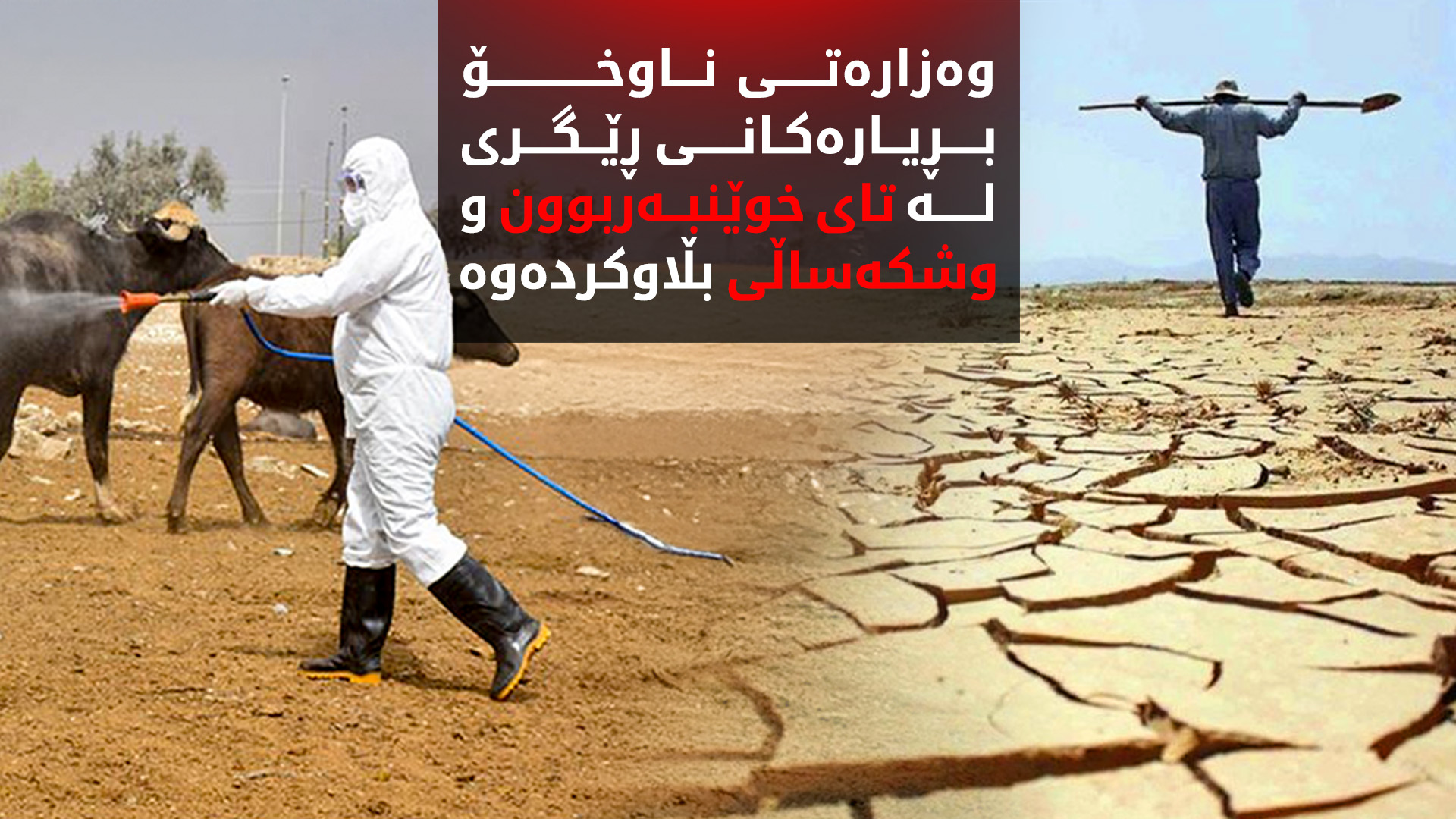 وەزارەتی ناوخۆ بۆ بەرەنگاربوونەوەی تای خوێنبەربوون و وشکەساڵی چەند بڕیارێکی دەرکرد