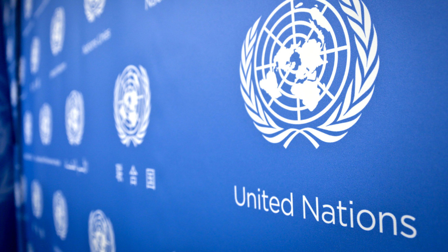 نەتەوە یەکگرتووەکان