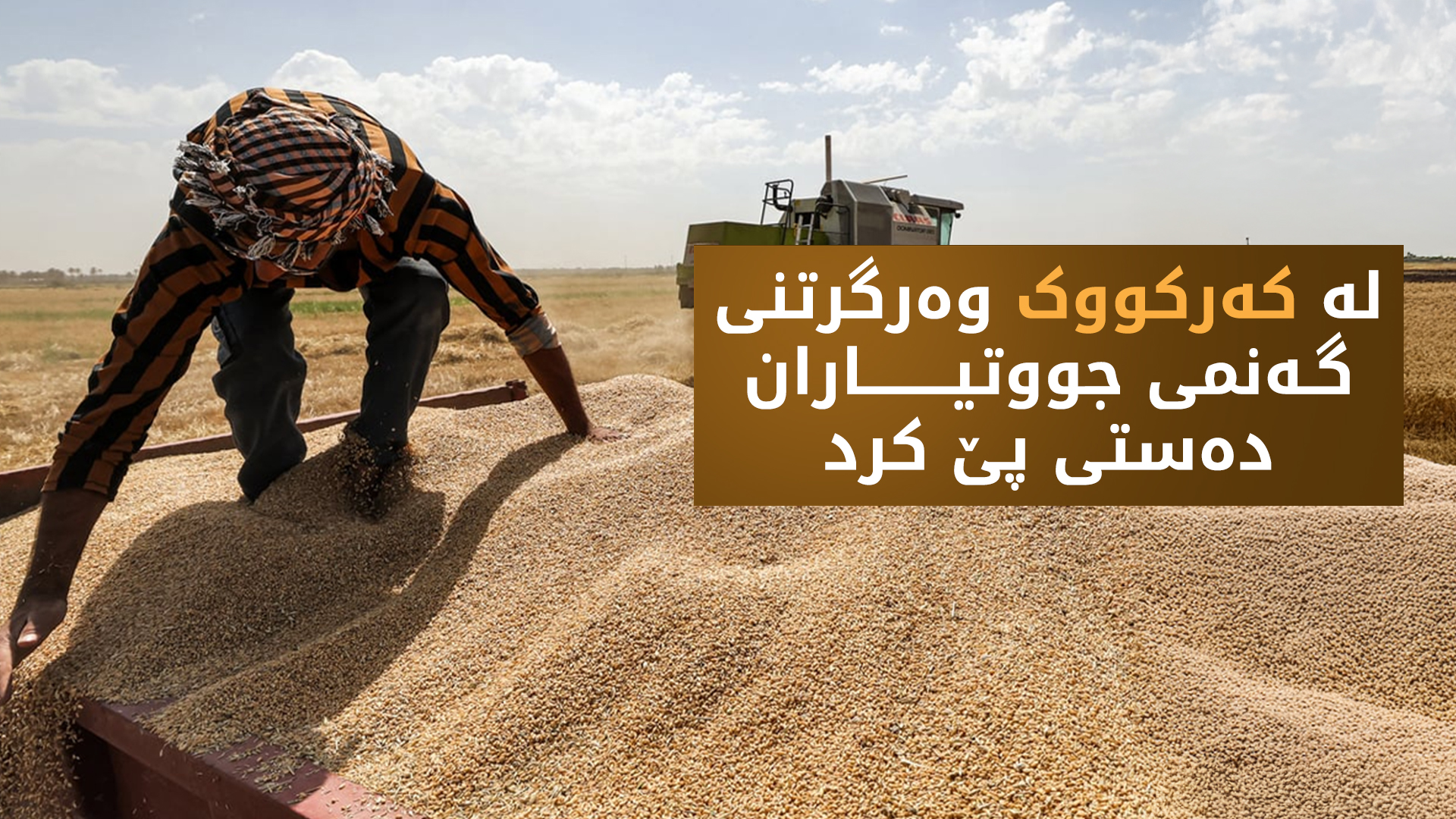 کەرکووک.. لە چوار سایلۆوە دەست بە وەرگرتنی گەنمی جووتیاران کرا