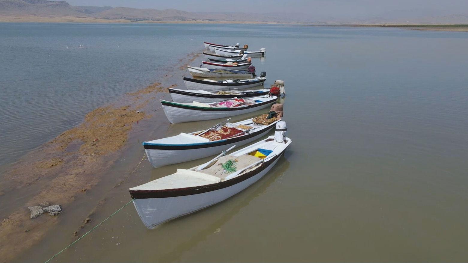 پۆلیسی دارستان: لە وەرزی قەدەغەی ڕاوەماسی زیاتر لە 65 ڕاوچی نەناسراو دەستگیرکراون