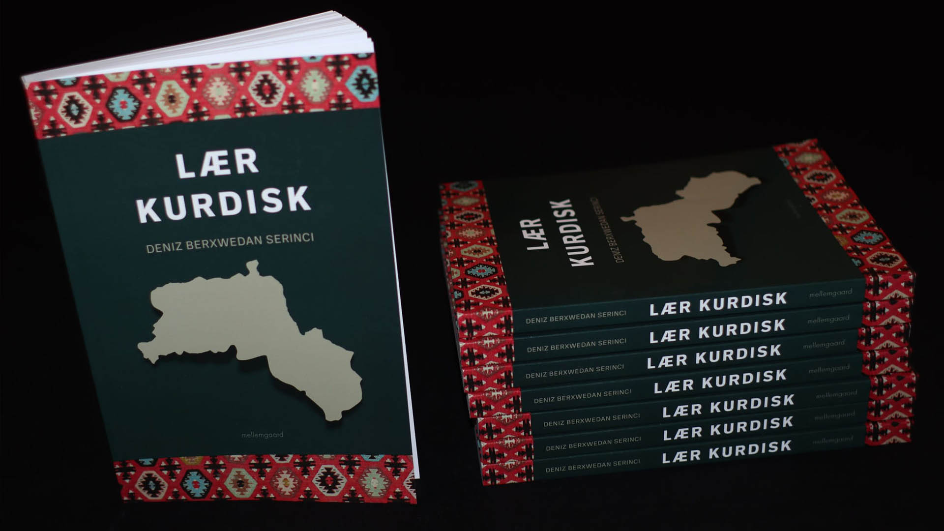 The cover of the Kurdish language book "Learn Kurdish". (Photo: Kurdistan24)