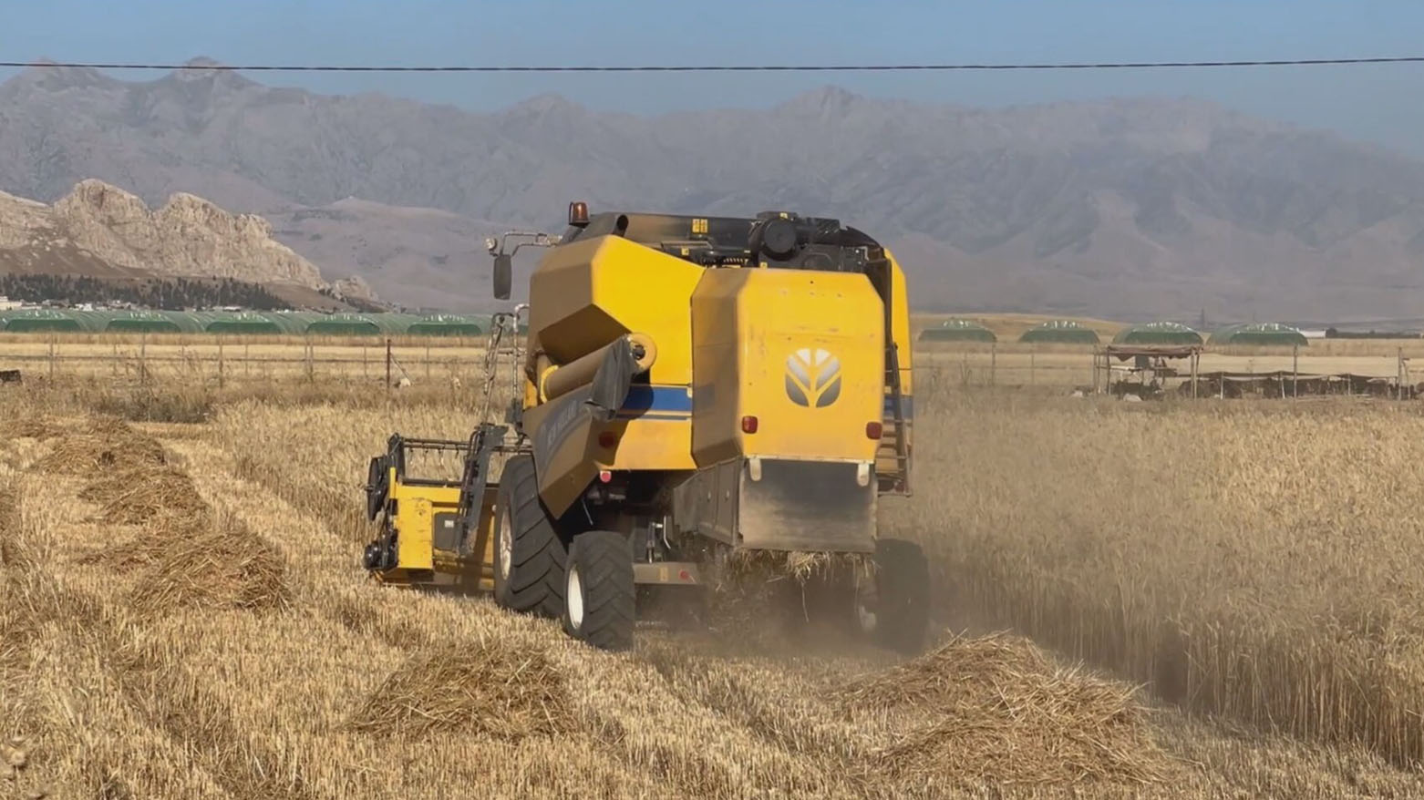 A combine harvester at work on a wheat farm in Sharazur. (Photo: Kurdistan24)