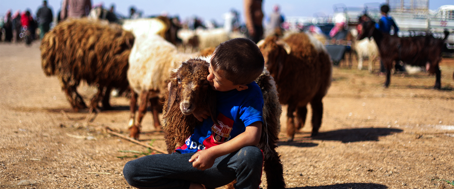 بازاڕی ئاژەڵان بۆ جەژنی قوربان
