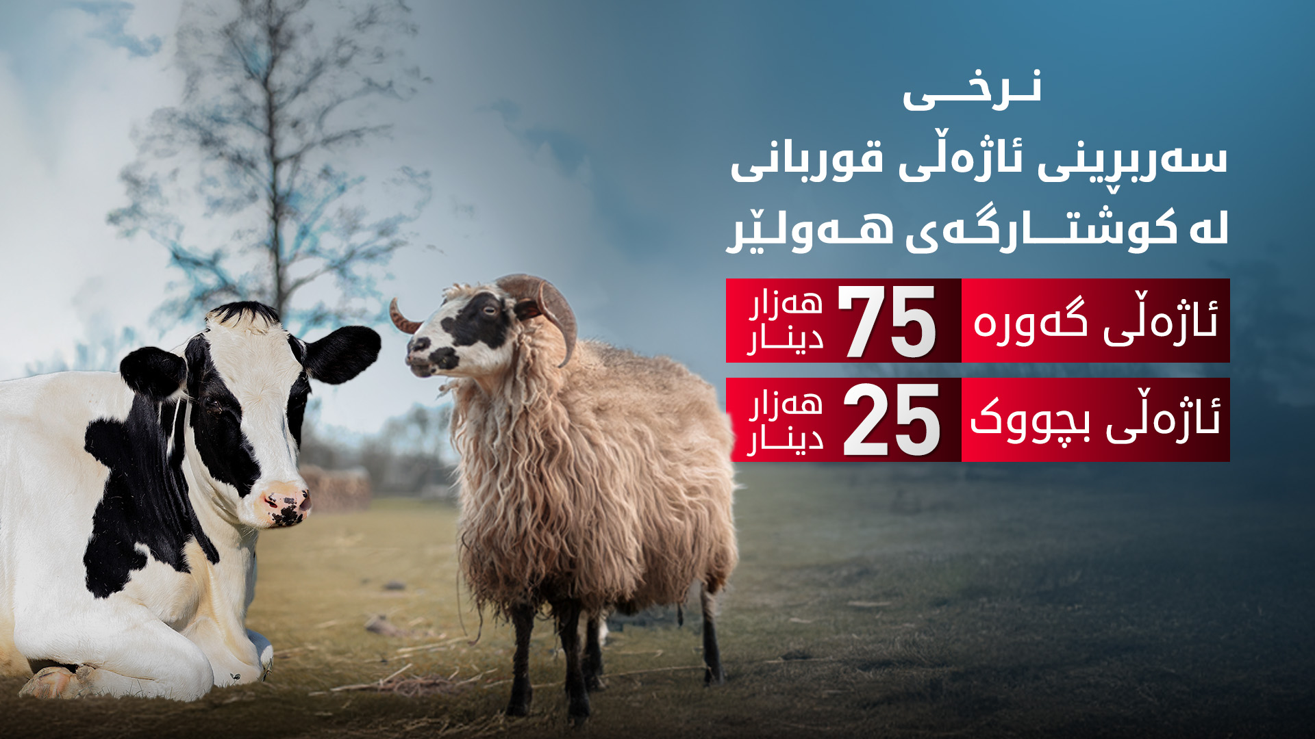 كوشتارگەی هەولێر نرخی سه‌ربڕینی ئاژە‌ڵی قوربانی دیاریی كرد